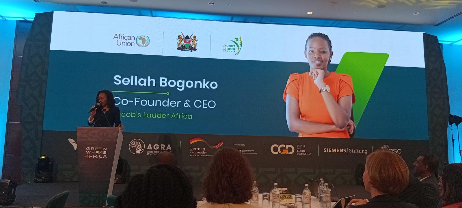 The Africa Green Skills and Jobs Summit — Photograph 3